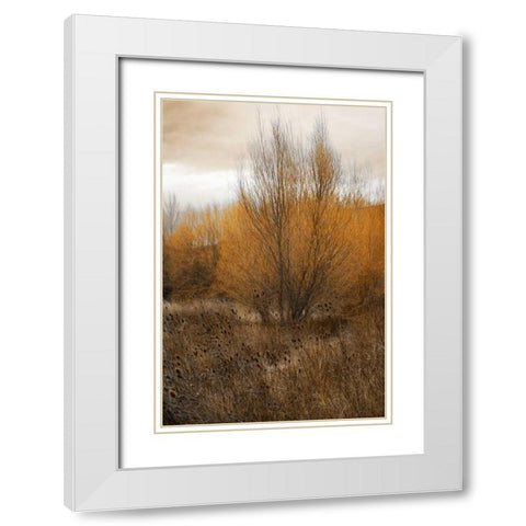 Spring Serenity I White Modern Wood Framed Art Print with Double Matting by Geyman, Vitaly