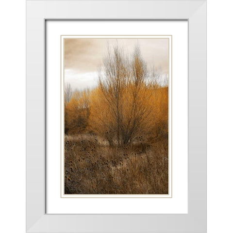 Spring Serenity I White Modern Wood Framed Art Print with Double Matting by Geyman, Vitaly
