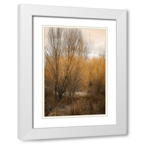 Spring Serenity II White Modern Wood Framed Art Print with Double Matting by Geyman, Vitaly