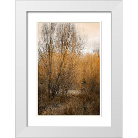 Spring Serenity II White Modern Wood Framed Art Print with Double Matting by Geyman, Vitaly