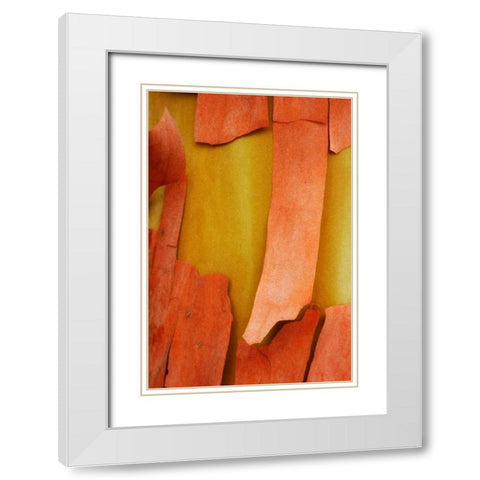 Madrone Mosaic I White Modern Wood Framed Art Print with Double Matting by Geyman, Vitaly