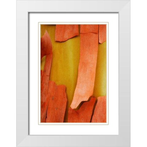 Madrone Mosaic I White Modern Wood Framed Art Print with Double Matting by Geyman, Vitaly