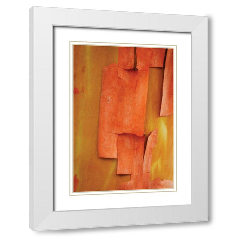Madrone Mosaic II White Modern Wood Framed Art Print with Double Matting by Geyman, Vitaly