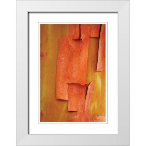 Madrone Mosaic II White Modern Wood Framed Art Print with Double Matting by Geyman, Vitaly