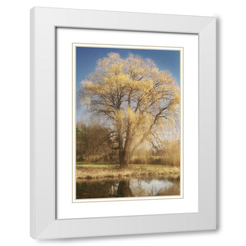 Willow Magic I White Modern Wood Framed Art Print with Double Matting by Vitaly, Geyman