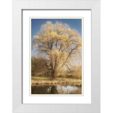 Willow Magic I White Modern Wood Framed Art Print with Double Matting by Vitaly, Geyman