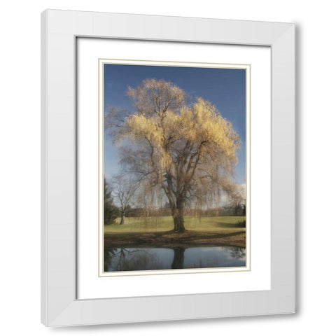 Willow Magic II White Modern Wood Framed Art Print with Double Matting by Vitaly, Geyman