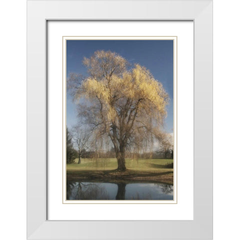Willow Magic II White Modern Wood Framed Art Print with Double Matting by Vitaly, Geyman