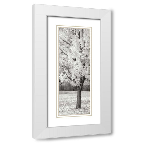 Splash of Color III BW White Modern Wood Framed Art Print with Double Matting by Geyman, Vitaly