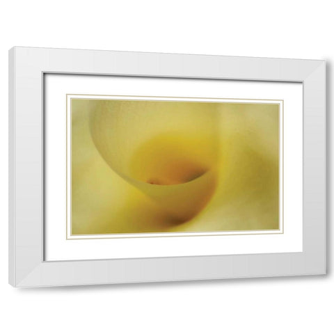 Tender Moments I White Modern Wood Framed Art Print with Double Matting by Geyman, Vitaly