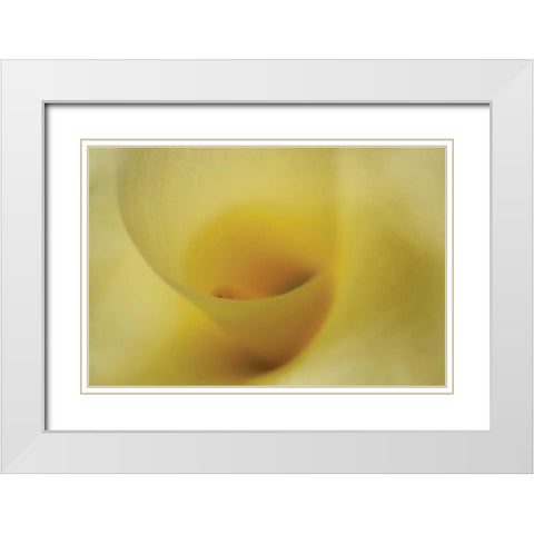 Tender Moments I White Modern Wood Framed Art Print with Double Matting by Geyman, Vitaly