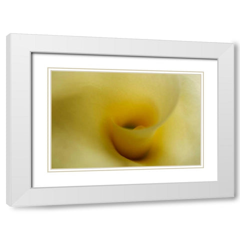 Tender Moments II White Modern Wood Framed Art Print with Double Matting by Geyman, Vitaly