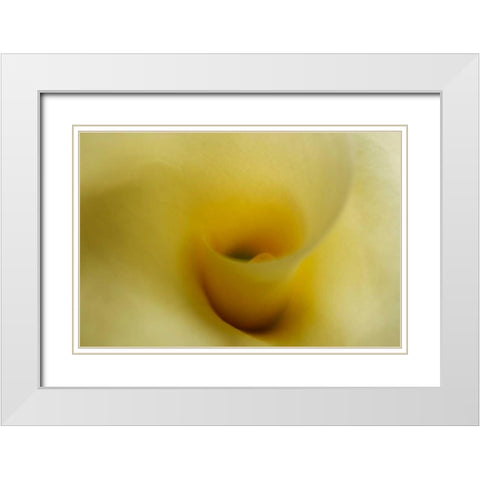 Tender Moments II White Modern Wood Framed Art Print with Double Matting by Geyman, Vitaly