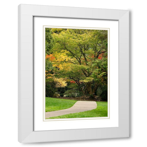 Fall Colors III White Modern Wood Framed Art Print with Double Matting by Geyman, Vitaly