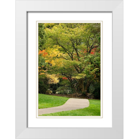 Fall Colors III White Modern Wood Framed Art Print with Double Matting by Geyman, Vitaly