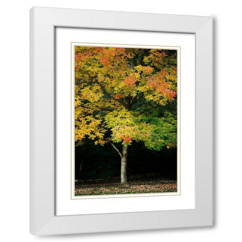 Tree of Life II White Modern Wood Framed Art Print with Double Matting by Geyman, Vitaly