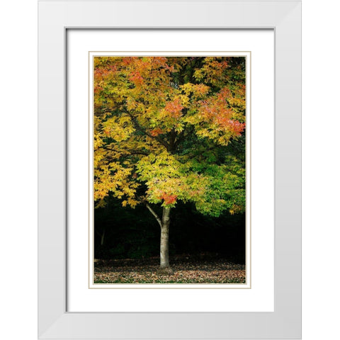 Tree of Life II White Modern Wood Framed Art Print with Double Matting by Geyman, Vitaly