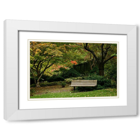 Fall Colors IV White Modern Wood Framed Art Print with Double Matting by Geyman, Vitaly