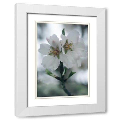 Spring Blossoms II White Modern Wood Framed Art Print with Double Matting by Geyman, Vitaly