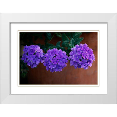Tri Floral Bouquet White Modern Wood Framed Art Print with Double Matting by Geyman, Vitaly