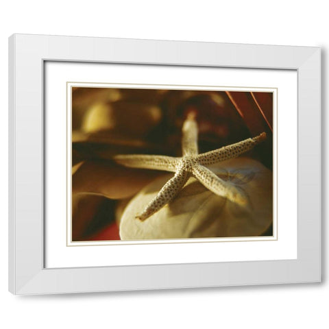 Starfish III White Modern Wood Framed Art Print with Double Matting by Clayton-Thompson, Philip