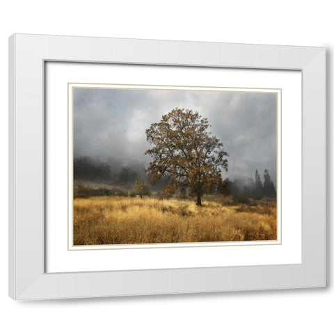 Field of Gold White Modern Wood Framed Art Print with Double Matting by Geyman, Vitaly