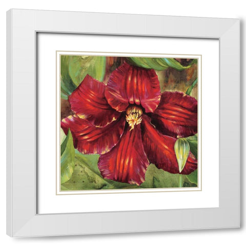 Rosa Odorada White Modern Wood Framed Art Print with Double Matting by Werbelow, Selina