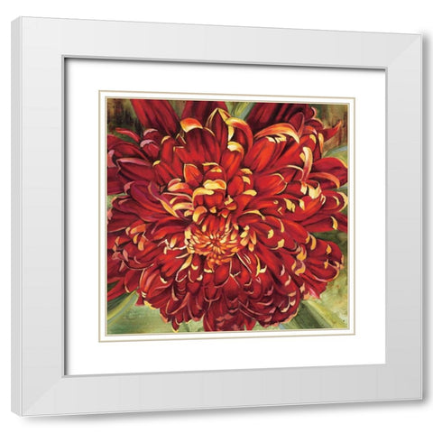 Chrysanthemum White Modern Wood Framed Art Print with Double Matting by Werbelow, Selina