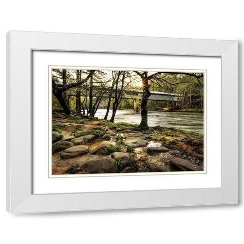 Swann Bridge II White Modern Wood Framed Art Print with Double Matting by Head, Danny
