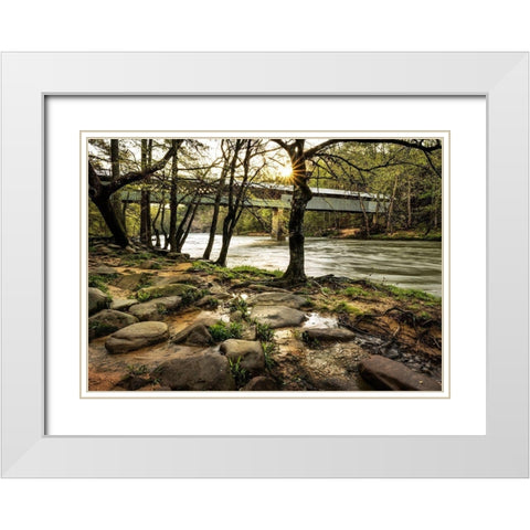 Swann Bridge II White Modern Wood Framed Art Print with Double Matting by Head, Danny