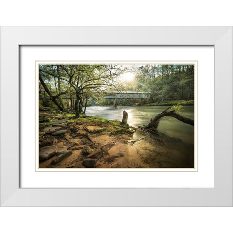 Swann Bridge VI White Modern Wood Framed Art Print with Double Matting by Head, Danny