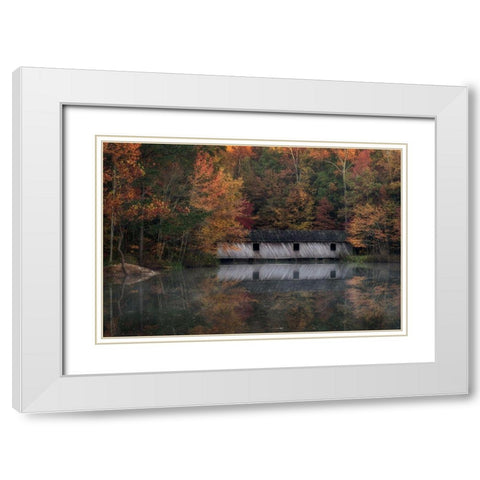 Reflections II White Modern Wood Framed Art Print with Double Matting by Head, Danny