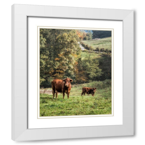 Moo White Modern Wood Framed Art Print with Double Matting by Head, Danny