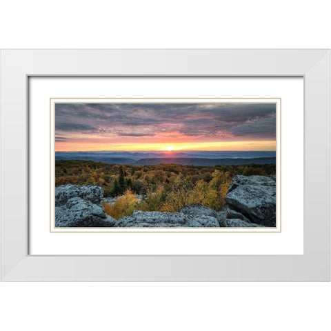 Yellow Dawn I White Modern Wood Framed Art Print with Double Matting by Head, Danny