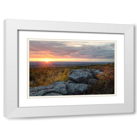 Yellow Dawn II White Modern Wood Framed Art Print with Double Matting by Head, Danny