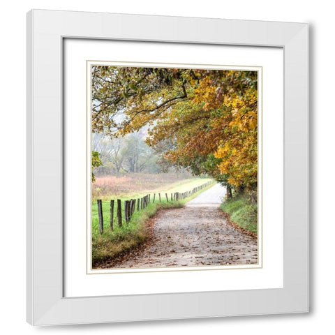 Cove lane II White Modern Wood Framed Art Print with Double Matting by Head, Danny