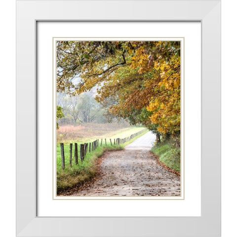 Cove lane II White Modern Wood Framed Art Print with Double Matting by Head, Danny