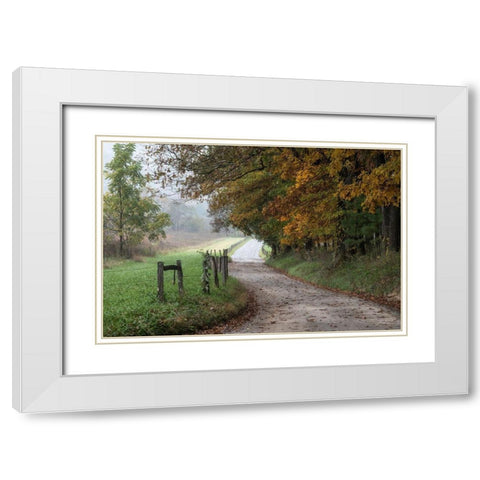 Cove Lane III White Modern Wood Framed Art Print with Double Matting by Head, Danny