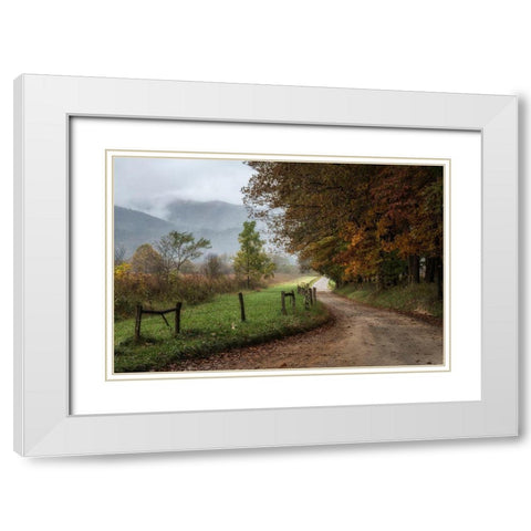 Cove Lane IV White Modern Wood Framed Art Print with Double Matting by Head, Danny