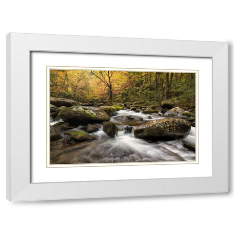Autumn at Tremont I White Modern Wood Framed Art Print with Double Matting by Head, Danny