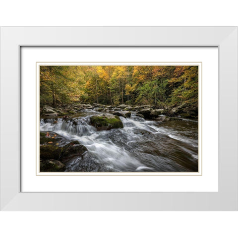 Autumn at Tremont III White Modern Wood Framed Art Print with Double Matting by Head, Danny