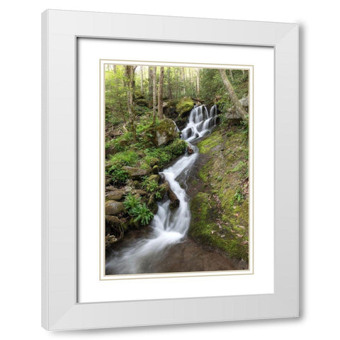 Woven Silk II White Modern Wood Framed Art Print with Double Matting by Head, Danny