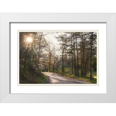 Sunburst White Modern Wood Framed Art Print with Double Matting by Head, Danny
