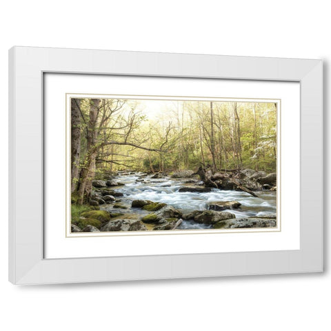 Bliss White Modern Wood Framed Art Print with Double Matting by Head, Danny