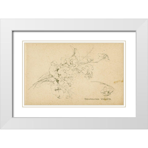 Neapolitan Violets White Modern Wood Framed Art Print with Double Matting by Art Licensing Studio
