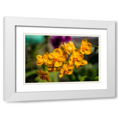 Thailand - 85 White Modern Wood Framed Art Print with Double Matting by Heine, Ben