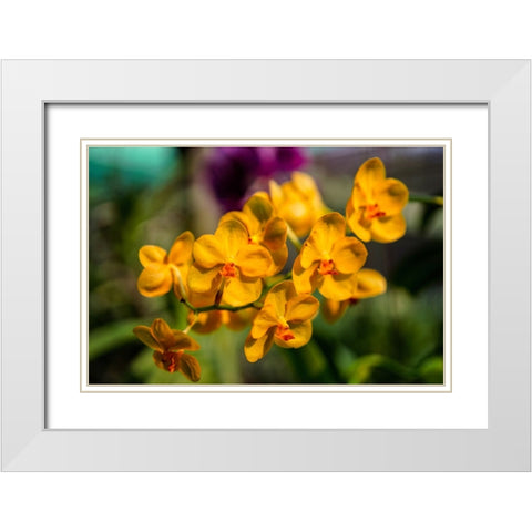 Thailand - 85 White Modern Wood Framed Art Print with Double Matting by Heine, Ben