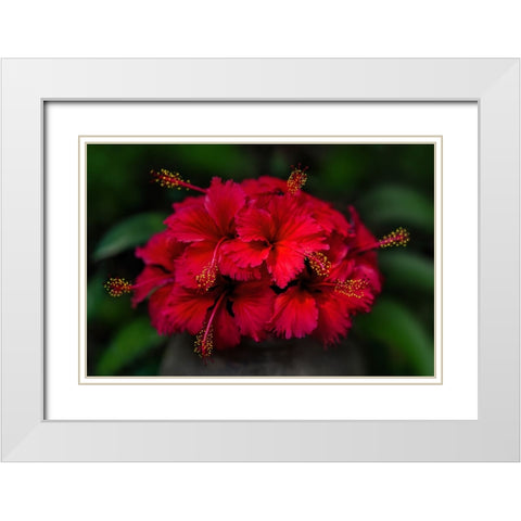 Thailand - 165 White Modern Wood Framed Art Print with Double Matting by Heine, Ben
