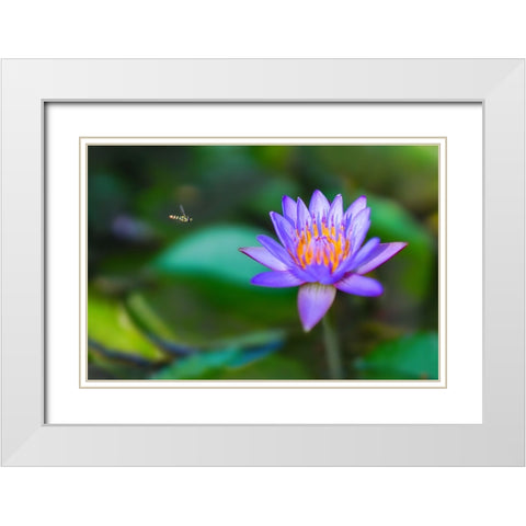 Thailand 2 - 214 White Modern Wood Framed Art Print with Double Matting by Heine, Ben