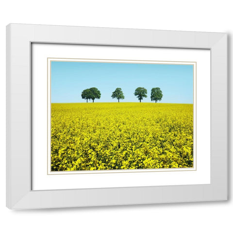 Brothers White Modern Wood Framed Art Print with Double Matting by Heine, Ben